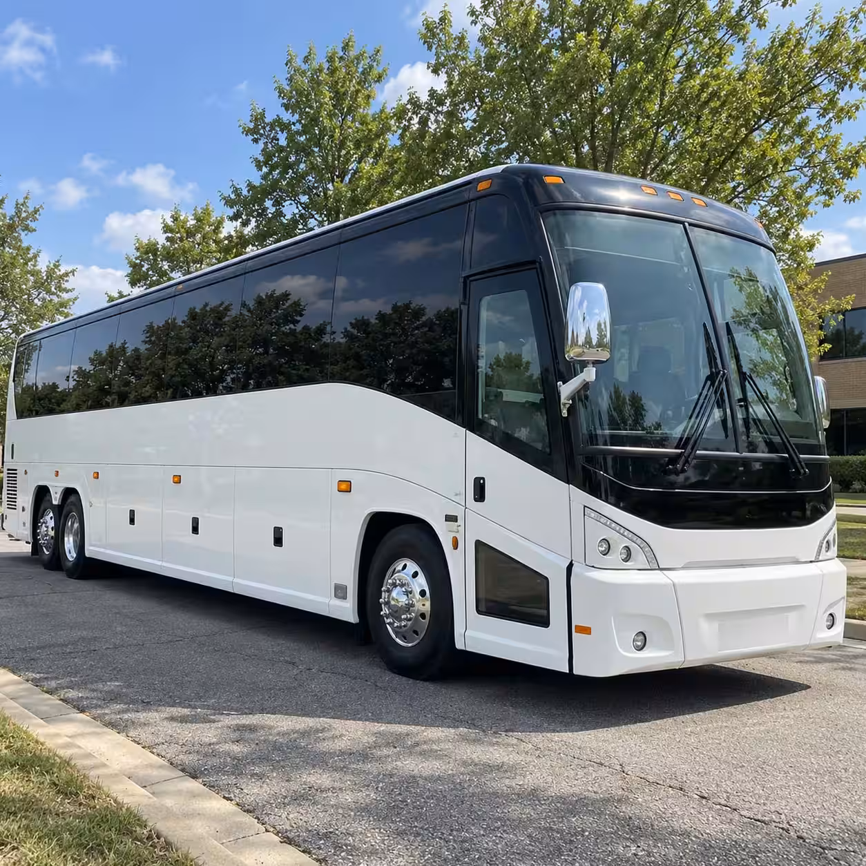 prom transportation in athens and all the surrounding areas